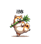 冬 年末年始のふとっちょ柴犬 ずっと使える（個別スタンプ：20）