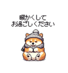 冬 年末年始のふとっちょ柴犬 ずっと使える（個別スタンプ：24）