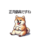 冬 年末年始のふとっちょ柴犬 ずっと使える（個別スタンプ：25）