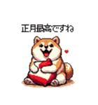 冬 年末年始のふとっちょ柴犬 ずっと使える（個別スタンプ：26）