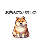 冬 年末年始のふとっちょ柴犬 ずっと使える（個別スタンプ：28）