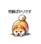 冬 年末年始のふとっちょ柴犬 ずっと使える（個別スタンプ：29）