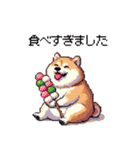 冬 年末年始のふとっちょ柴犬 ずっと使える（個別スタンプ：33）