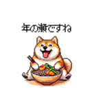 冬 年末年始のふとっちょ柴犬 ずっと使える（個別スタンプ：36）
