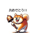 冬 年末年始のふとっちょ柴犬 ずっと使える（個別スタンプ：39）