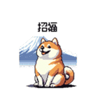 冬 年末年始のふとっちょ柴犬 ずっと使える（個別スタンプ：40）