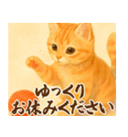 【飛び出す】年末年始＆あけおめスタンプ（個別スタンプ：7）