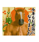 新年を祝うマッチョウマ男【午年/面白い】（個別スタンプ：11）