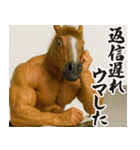 新年を祝うマッチョウマ男【午年/面白い】（個別スタンプ：31）