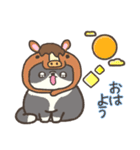 ☆とろけるネコのお正月☆ハチワレ（個別スタンプ：21）