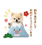 名入れ☆癒しポメの毎年使える年賀状（個別スタンプ：4）