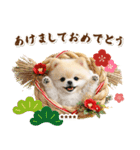名入れ☆癒しポメの毎年使える年賀状（個別スタンプ：5）