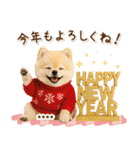 名入れ☆癒しポメの毎年使える年賀状（個別スタンプ：6）