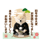 名入れ☆癒しポメの毎年使える年賀状（個別スタンプ：12）