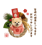 名入れ☆癒しポメの毎年使える年賀状（個別スタンプ：14）