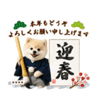 名入れ☆癒しポメの毎年使える年賀状（個別スタンプ：16）