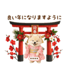 名入れ☆癒しポメの毎年使える年賀状（個別スタンプ：17）