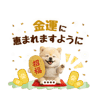 名入れ☆癒しポメの毎年使える年賀状（個別スタンプ：19）