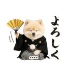 名入れ☆癒しポメの毎年使える年賀状（個別スタンプ：23）