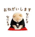 名入れ☆癒しポメの毎年使える年賀状（個別スタンプ：24）