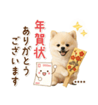 名入れ☆癒しポメの毎年使える年賀状（個別スタンプ：25）