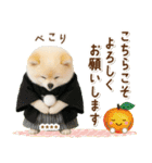 名入れ☆癒しポメの毎年使える年賀状（個別スタンプ：28）