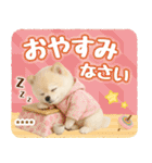 名入れ☆癒しポメの毎年使える年賀状（個別スタンプ：30）