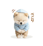 名入れ☆癒しポメの毎年使える年賀状（個別スタンプ：32）