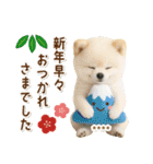 名入れ☆癒しポメの毎年使える年賀状（個別スタンプ：35）