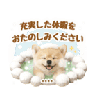 名入れ☆癒しポメの毎年使える年賀状（個別スタンプ：40）