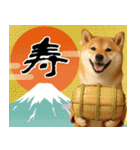 毎年使える 柴犬のあけおめスタンプ（個別スタンプ：2）