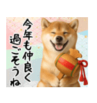 毎年使える 柴犬のあけおめスタンプ（個別スタンプ：12）