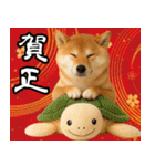 毎年使える 柴犬のあけおめスタンプ（個別スタンプ：13）