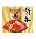 毎年使える 柴犬のあけおめスタンプ（個別スタンプ：16）