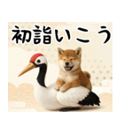 毎年使える 柴犬のあけおめスタンプ（個別スタンプ：17）