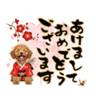笑顔で迎える2026♡お正月プードル年賀（個別スタンプ：1）