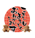 笑顔で迎える2026♡お正月プードル年賀（個別スタンプ：2）