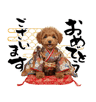 笑顔で迎える2026♡お正月プードル年賀（個別スタンプ：3）