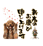 笑顔で迎える2026♡お正月プードル年賀（個別スタンプ：6）