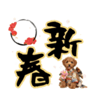 笑顔で迎える2026♡お正月プードル年賀（個別スタンプ：7）