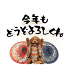 笑顔で迎える2026♡お正月プードル年賀（個別スタンプ：9）