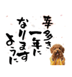 笑顔で迎える2026♡お正月プードル年賀（個別スタンプ：11）