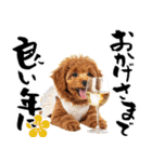 笑顔で迎える2026♡お正月プードル年賀（個別スタンプ：15）