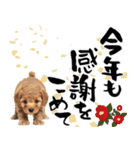 笑顔で迎える2026♡お正月プードル年賀（個別スタンプ：16）