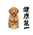 笑顔で迎える2026♡お正月プードル年賀（個別スタンプ：17）