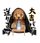 笑顔で迎える2026♡お正月プードル年賀（個別スタンプ：19）