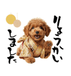 笑顔で迎える2026♡お正月プードル年賀（個別スタンプ：20）