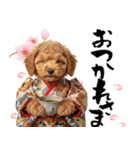 笑顔で迎える2026♡お正月プードル年賀（個別スタンプ：21）