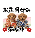 笑顔で迎える2026♡お正月プードル年賀（個別スタンプ：23）