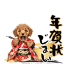 笑顔で迎える2026♡お正月プードル年賀（個別スタンプ：24）